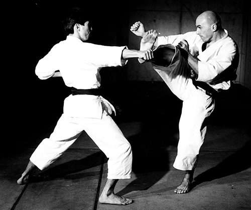 Goran Glucina Sensei - 8th Dan, Chief Instructor, President SKIF NZ